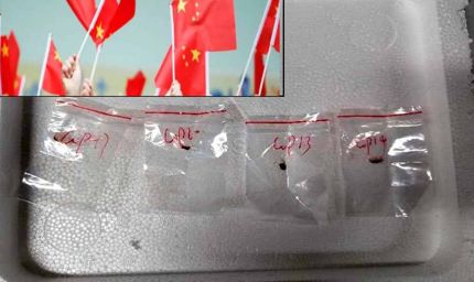 चीन की अमेरिका के खिलाफ बड़ी साजिश का हुआ पर्दाफाश, US में महामारी की तबाही लेकर घुसे 2 चीनी शोधकर्ता गिरफ्तार