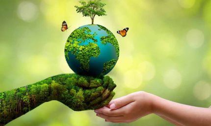 विश्व पर्यावरण दिवस पर प्रदेशभर में होंगे विशेष आयोजन