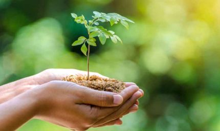 नगरीय क्षेत्रों में एक करोड़ पौध-रोपण का लक्ष्य, विशेष पौधरोपण अभियान 5 जून से