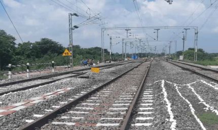 महू से मुख्तियारा बलवाड़ा रेल लाइन बिछाने में काटेंगे एक लाख 55 हजार पेड़, सबसे ज्यादा नुकसान वनमंडल को