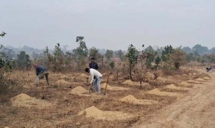 अनूपपुर जिले में रोंपे जाएँगे 12 लाख से अधिक पौधे, गड्ढे हो रहे तैयार