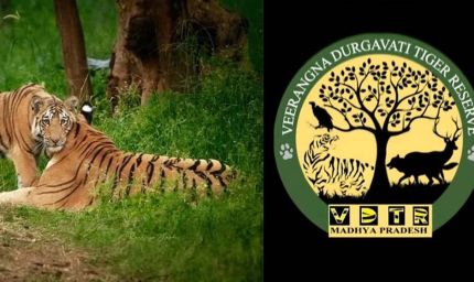 दमोह वनमंडल का बड़ा हिस्सा वीरांगना दुर्गावती टाइगर रिजर्व में शामिल हुआ