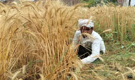 यूपी में किसानों के लिए चलेगा बड़ा अभियान, किसानों की समस्याओं का समाधान और कृषि योजनाओं की दी जाएगी जानकारी