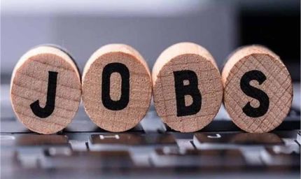 नौकरियों के झांसे के बढ़ते मामलों पर HC सख्त, सरकारी नौकरियों का झांसा देकर पैसे ऐंठने के आरोपों की पड़ताल की जा रही