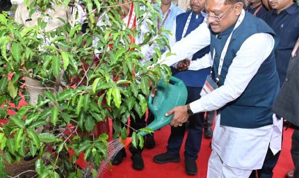मुख्यमंत्री ने आईआईएम रायपुर परिसर में किया सुशासन वाटिका का शुभारंभ