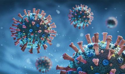 देश में नए उभरते कोविड-19 वैरिएंट XFG के अब तक 163 मामले