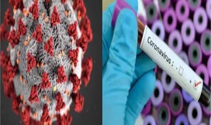 हरियाणा में कोरोना केसों में लगातार इजाफा,  24 घंटे में कोरोना के 12 नए मरीज मिले