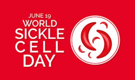 विश्व सिकल सेल दिवस पर सिकल सेल उन्मूलन प्रयासों को किया जायेगा सशक्त, उत्कृष्ट कार्य करने वाली पंचायतें होंगी सम्मानित