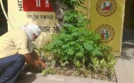 पालिका परिषद ने सरोजिनी नगर मार्केट में स्वच्छता और जागरूकता अभियान शुरू किया।