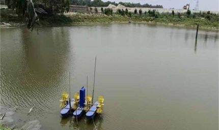 मुख्यमंत्री नीतीश के नेतृत्व में राज्य का हो रहा सर्वांगीण विकास