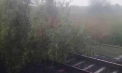 उज्जैन जिले में तेज आंधी और तूफान ने लगातार दूसरे दिन ट्रेन संचालन को रोक दिया, पटरियों पर गिरा पेड़