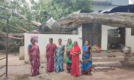 स्कूल के किचन शेड पर गिरा पीपल का पेड़, टला बड़ा हादसा