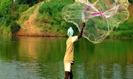 रायपुर : क्लोज सीजन में मत्स्याखेट 15 अगस्त तक पूर्णतः प्रतिबंध