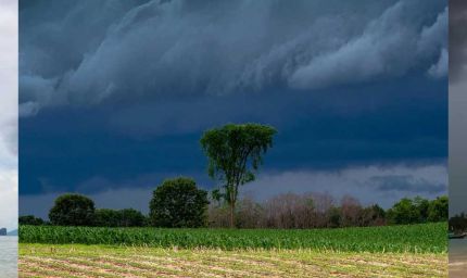 रायपुर में सुबह से बादल छाए, 24 घंटे में दुर्ग में सबसे ज्यादा 60 मिमी बारिश हुई, कोरबा-रायगढ़, मुंगेली जिले भीगेंगे