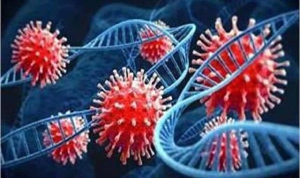 देशभर में कोरोना की दस्तक के साथ ही चरखी दादरी में कोरोना के दो नए केस सामने आए, टला नहीं खतरा!