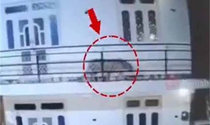 हिमाचल प्रदेश के सोलन जिले से एक चौंकाने वाली घटना सामने आई, रात के सन्नाटे में दिखा तेंदुए का आतंक