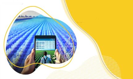 नगरीय निकाय प्रणाली में पारदर्शिता लाने के लिये शहरी सुधार कार्यक्रम