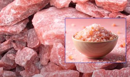 पाकिस्तान दुनिया में हिमालयन पिंक सॉल्ट सबसे बड़ा उत्पादक, भारत ने मना किया तो भागा-भागा फिर रहा