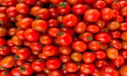 टमाटर के दामों में भारी बढ़ोतरी, एक सप्ताह में ही 20-30 रुपये का उछाल