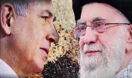 ईरान-इजरायल युद्ध का असर... हरियाणा से बासमती चावल का निर्यात थमा, एक्सपोर्टर्स को घाटे का डर