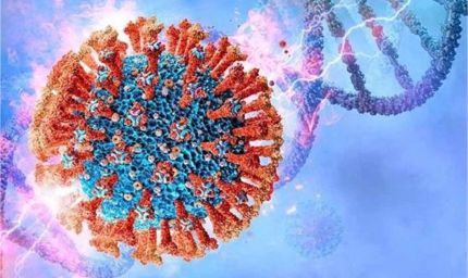 हरियाणा में कोरोना के केसों में लगातार इजाफा, 24 घंटे में 16 नए मरीज आए सामने