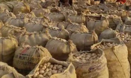 आगरा में बनेगा अंतरराष्ट्रीय आलू केंद्र, मोदी कैबिनेट ने दी मंजूरी