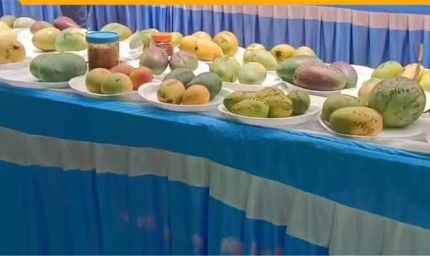 60 किस्मों के आमों की प्रदर्शनी, देसी और विदेशी आम बने आकर्षण का केंद्र