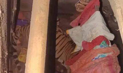 रांची के एक किसान के घर में घुसा बाघ, 12 घंटे से रेस्क्यू ऑपरेशन जारी