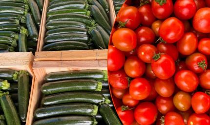 मानसून की बारिश का खुमार चढ़ा, इधर सब्जी मंडियों में हाहाकर मचा, टमाटर 40, खीरा 50 रुपए पार