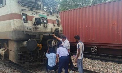 जुलाना के रेलवे स्टेशन पर ट्रेन की चपेट में आने से पांच गौवंश की मौत