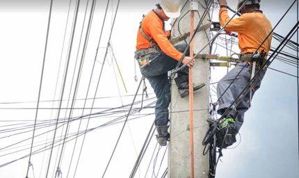 एमपी ट्रांसको में विभिन्न पदों पर चयनित अभ्यर्थियों के दस्तावेज़ सत्यापन 1 जुलाई से