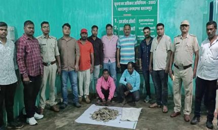 वन विभाग ने पैंगोलिन की 6 किलो स्केल के साथ दो तस्करों को किया गिरफ्तार