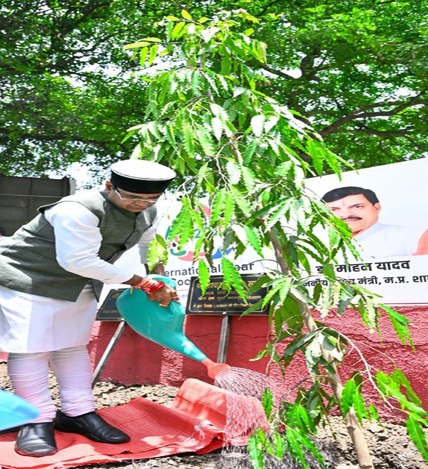 सहकारिता विभाग पूरी प्लानिंग के साथ सोसायटी और परिसरों में लगाये पौधे