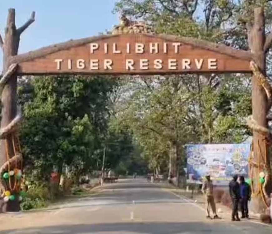 पीलीभीत टाइगर रिजर्व में पर्यटन सत्र आखिरी दौर में, 15 जून को बंद हो जाएंगे