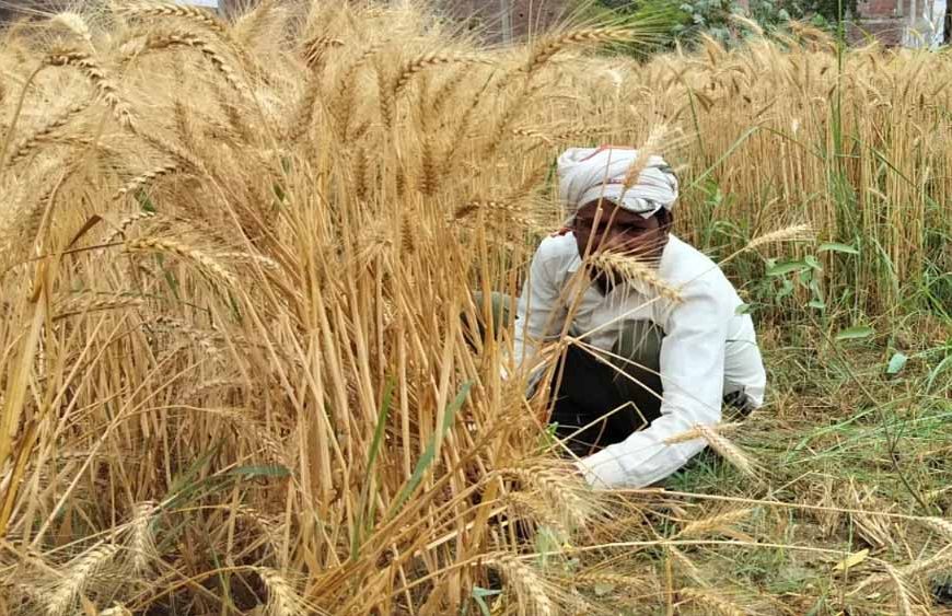 यूपी में किसानों के लिए चलेगा बड़ा अभियान, किसानों की समस्याओं का समाधान और कृषि योजनाओं की दी जाएगी जानकारी