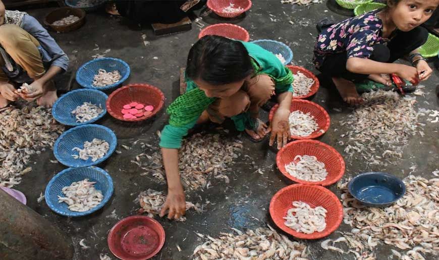 पाकिस्तान में 45 फीसदी जनता गरीब, 16 पर्सेंट अति निर्धन: वर्ल्ड बैंक