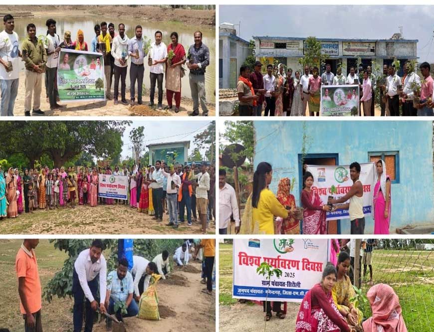 जिले में पर्यावरण दिवस पर 6300 पौधे रोपे गए, 15 जून तक 15,000 आवासों में वृक्षारोपण का लक्ष्य
