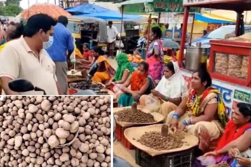 सबसे महंगी सब्जियों में शुमार छत्तीसगढ़ में रोड पर बिक रहा बोड़ा