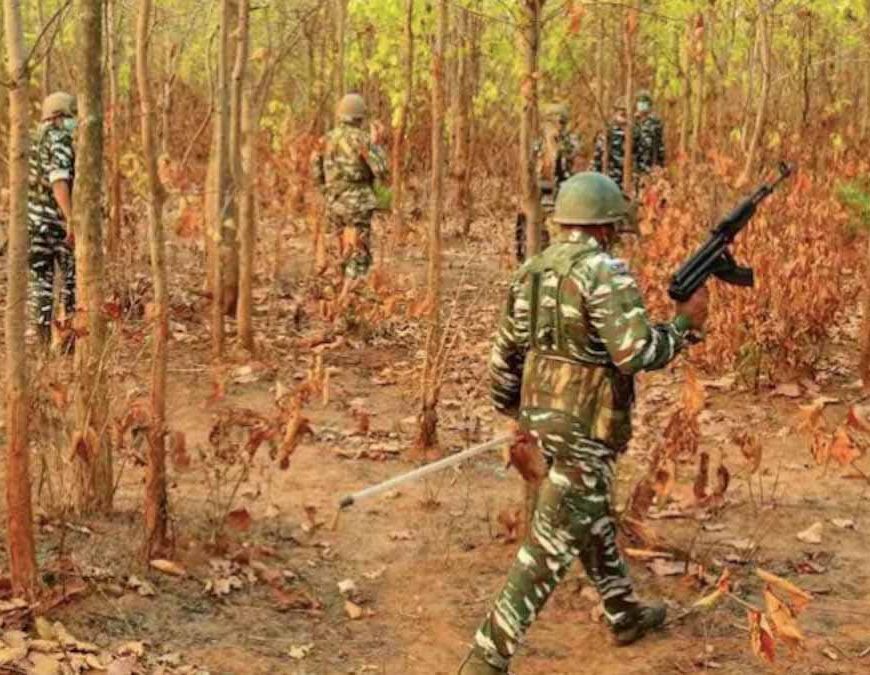 नेशनल पार्क इलाके में 7 माओवादी ढेर, 2 बड़े नक्सली लीडर भी मारे गए