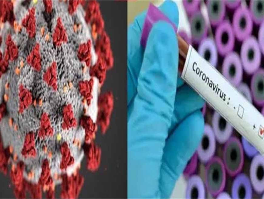 हरियाणा में कोरोना केसों में लगातार इजाफा, 24 घंटे में कोरोना के 12 नए मरीज मिले