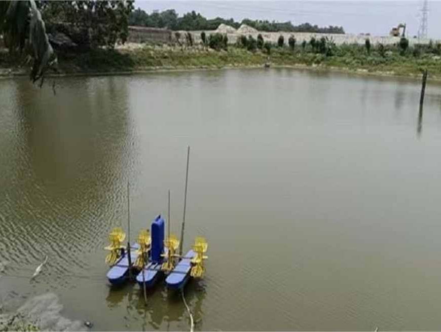 मुख्यमंत्री नीतीश के नेतृत्व में राज्य का हो रहा सर्वांगीण विकास