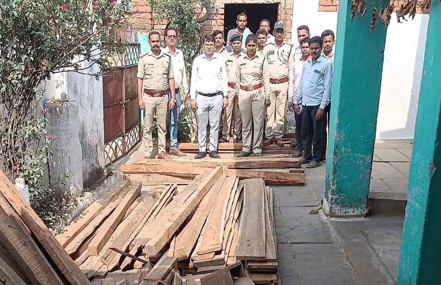 वन विभाग ने एक बड़ी कार्रवाई को दिया अंजाम, 50 हजार की अवैध इमारती लकड़ी जब्त