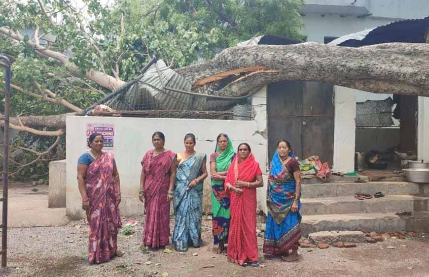 स्कूल के किचन शेड पर गिरा पीपल का पेड़, टला बड़ा हादसा