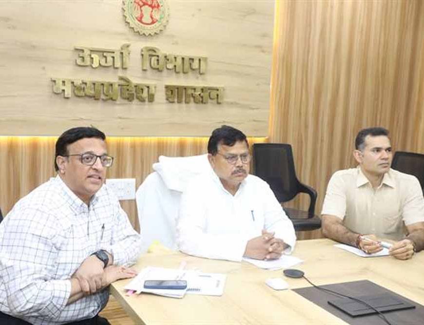 जो अधिकारी जिम्मेदारी का निर्वहन नही कर पा रहे उन्हे रिप्लेस करें : ऊर्जा मंत्री तोमर