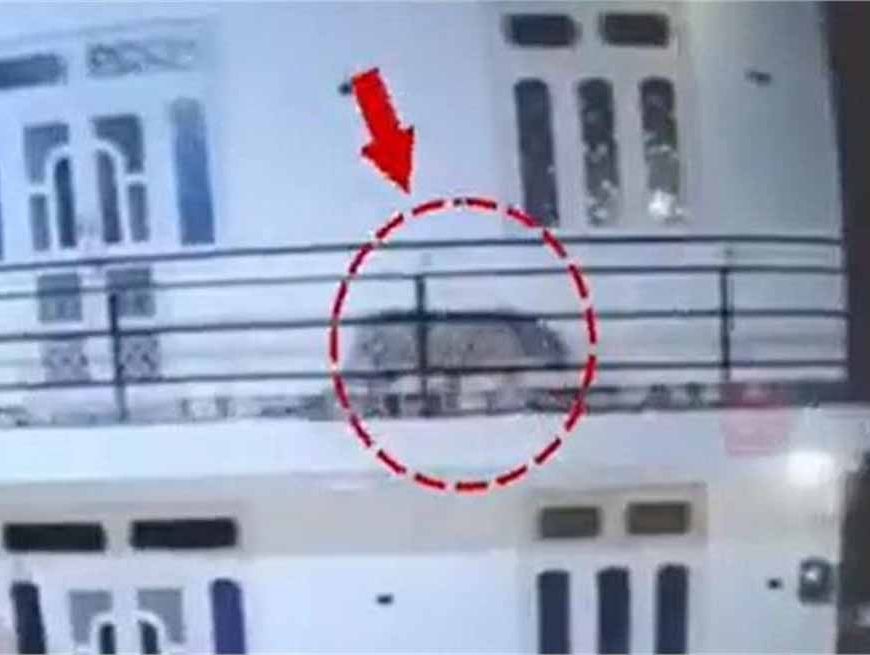 हिमाचल प्रदेश के सोलन जिले से एक चौंकाने वाली घटना सामने आई, रात के सन्नाटे में दिखा तेंदुए का आतंक