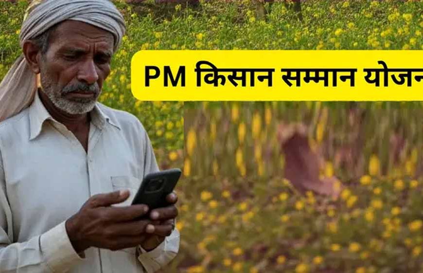 पीएम किसान सम्मान योजना की 20वीं किस्त के आज खाते में नहीं आएंगे 2000 रुपये, करोड़ों किसानों का इंतजार बढ़ा