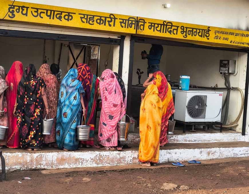 भोपाल दुग्ध संघ की दुग्ध समितियों के दुग्ध उत्पादकों से दूध क्रय दरों में की गई ऐतिहासिक वृद्धि