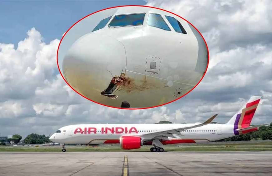 दिल्ली से पुणे के लिए रवाना हुआ एयर इंडिया का विमान टकराया, एयरलाइन को इसकी वापसी की यात्रा रद्द करनी पड़ी
