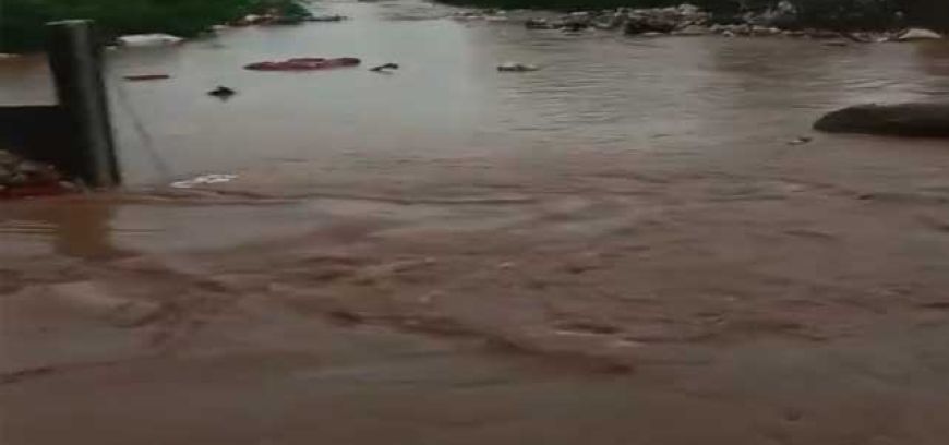 फुलफॉर्म में आया मॉनसून, मध्य प्रदेश के कई जिलों में मूसलाधार बारिश, मुरैना-टीकमगढ़ में बाढ़ जैसे हालात, आज भी रेड अलर्ट.