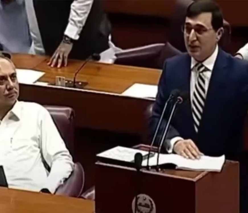 भारत के बजट से चौंके पाक सांसद, शहबाज को दिखाई असलियत की तस्वीर